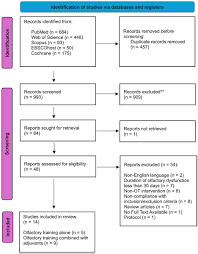 Image result for Olfactory Training