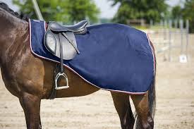 la protection du corps un cheval avec un couvre rein couverture cheval cheval equipement equitation