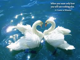Through prayer love is received, and through miracles love is expressed. ― foundation for inner peace, a course in miracles Animal E Cards Miracle Distribution Center
