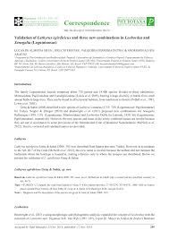 Image result for Dichilus reflexus