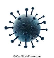 From the lucy australopithecus epoch to. Virus Disegno Coronavirus Prociv Calabria A Virus Is A Submicroscopic Infectious Agent That Replicates Only Inside The Living Cells Of An Organism Karaimisune