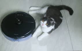 3299 元起 石头扫地机器人t7 pro 发布 有双眼有头脑 猫毛落发的克星 爱范儿 home appliances vacuum roomba