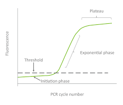 Pcr Overview | Goldbio