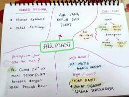 Ketika selesai buang air kecil, di akhir pembuangannya, cairan seperti gumpalan gel turut keluar. Oh Media Beza Air Mani Air Mazi Air Wadi Keputihan ×¤×™×™×¡×'×•×§