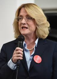 Candidates make cases for Hamilton County Circuit Court judgeship in public  forum