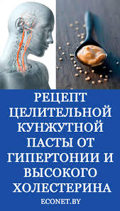 recept celitelnoj kunzhutnoj pasty ot gipertonii i vysokogo holesterina zdorove produkty dlya zdorovya alternativnaya medicina