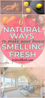 6 Amazing Hacks To Keep Your House Smelling Fresh House Smells House Smell Good Smell Fresh