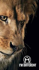 Nathaniel Takyi Abeam (nathanielagyeitakyiabeam)