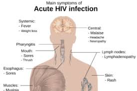 Hiv Antikorper Blutwerte Laborwerte Krank De