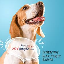 sevimli dostlarimizin ihtiyaci olan hersey petihtiyac com da evcil hayvan urunleri evcil hayvanlar kopek