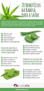 Cha De Canela De Velho Beneficios E Maleficios Babosa Aloe Vera Conheca 20 Beneficios Para A Saude Beneficios Da Babosa Produtos De Saude Babosa