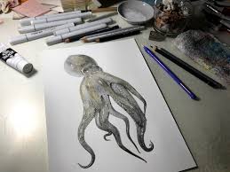 Choose your favorite realistic drawings from millions of available designs. Illustrator Shares His Process To Create A Realistic Drawing Of A Octopus