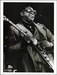Pin On Famous Blues Guitarist