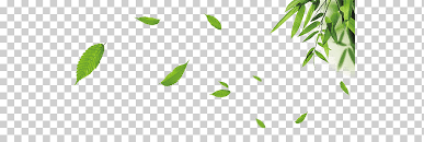 Acuarela hoja ilustración euclidiana, acuarela pintada hoja verde, hojas verdes pintura, hojas de acuarela, hoja png. Decoracion De La Hoja De La Naturaleza Hoja Decoracion Verde Png Klipartz