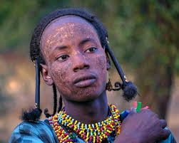 SAPF AE catalogue FINAL 07 08 24