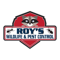Our mission is to make every employee and. Roy S Wildlife And Pest Control
