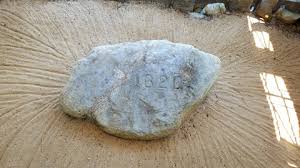 Image result for Spice 1984 Plymouth