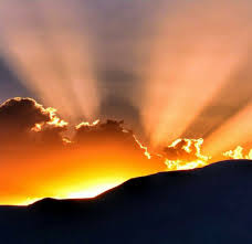 We never want to forget the people who have served our country and have fought to keep our country free. Pathway To Freedom Academy Of Awakeningacademy Of Awakening