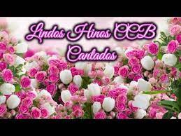 #hinoa cantados#hinos cantados#louvor a paz de deus a toda querida irmandade. Belos Hinos Cantados Ccb Sublime E O Perdao Youtube