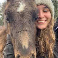 Hello I'm looking for anyone's opinion