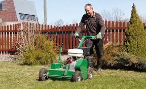 The suitable time for aeration is early spring or fall where the grass leaves start looking visible to the ground. Aeration