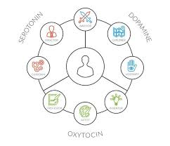 The Eight Different Personality Types Different Personality Types Personality Personality Types