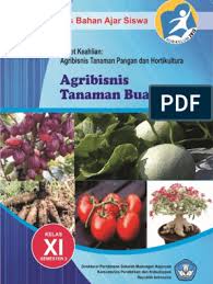 Selain itu, tanaman ini sangat kecil kemungkinan untuk mati, jadi anda tidak perlu khawatir. Agribisnis Tanaman Buah Xi 3