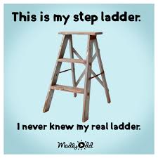 This Is My Step Ladder I Never Knew My Real Ladder Funnymemes Classic Memes Funny Memes Funny
