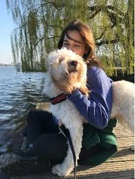 We requested prices from both businesses and individuals and there weren't price increases between 2019 and 2021. Dog Walking In Germany Insured On Petbacker