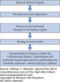 Intrauterine Growth Restriction Beyond The Nicu