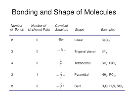 Get printable document in pdf, excel, word. Molecular Models Activity Ppt Download