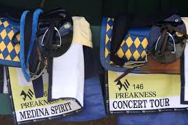 Medina spirit is causing waves, but are his odds even worth. Iflidqmn53gu2m