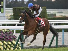 日経新春杯のうま吉無料軸馬予想を公開します。 #日経新春杯 #うま吉 #競馬予想 #重賞予想. æ—¥çµŒæ–°æ˜¥æ¯2020çµæžœ æœ€æ–°æƒ…å ± ä»Šå¹´ã®ä¸­é•·è·é›¢æˆ¦ç·šã‚'å ã†ãƒãƒ³ãƒ‡ã‚­ãƒ£ãƒƒãƒ—é‡è³ž ç«¶é¦¬äºˆæƒ³ ç«¶é¦¬ã¾ã¨ã‚ãƒ‹ãƒ¥ãƒ¼ã‚¹ Netkeiba Com