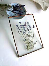 Real Pressed Lavender Flower Frame Lavender Gift Idea Lavender Etsy Lavender Decor Lavender Gifts Flower Frame