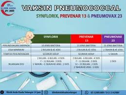 Anyone can get a pneumococcal infection. Pneumococcal Vaccine Hi Ibu2 Ada Sapa2 Yg Dah Ambil Vaksin
