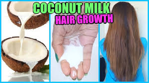 Coconut oil pacifies vata dosha, promotes hair growth by reducing protein loss, and moisturizes your hair. Coconut Milk For Hair Growth How To Apply Coconut Milk To Your Hair For Soft Shiny Long Thick Hair Youtube
