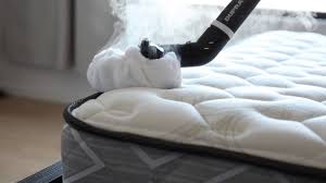 How To Steam Clean A Mattress 7 Steps To Ditching Bed Bugs