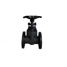 Forged Gate Valve | Industrial Valve Manufacturer Pans