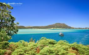 Neuseeland liegt in ozeanien und australien. Wallpaper Neuseeland Bay Of Islands Nordinsel Landschaftsfotograf David Koster