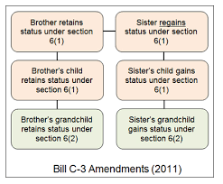 The bill doesn't seem to grasp the urgent, wider issues at stake. Background On Indian Registration