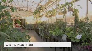 We cover a wide range of central iowa. Iowa Garden Center Sees Sales Spike During Covid 19 Pandemic Weareiowa Com