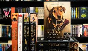 Könnyen methode nézni egy kutya négy útja teljes film online ingyen. Ime 12 Szupercuki Kutyas Idezet W Bruce Cameron Konyveibol Sorok Kozott Konyves Blog