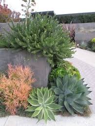 View pharmacy hours, refill prescriptions online and get directions to walgreens. 99 La Quinta Landscape Ideas Backyard Landscaping Garden Design Landscape Design