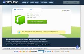 Nitroflare PayPal