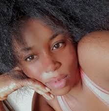 Safe private tour company recommendations for customized day tour