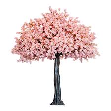 さくら or サクラ).they generally refer to ornamental cherry trees, not to cherry trees that produce fruit for eating. Sydney Event Hire And Event Styling Pink Cherry Blossom Tree
