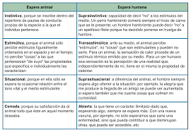 Espera Animal Y Espera Humana Entrada Pensar La Esperanza Como Promesa De Sentido 04 08 16 En El Blog Trazando Camino Enl Filosofia Psicologia Promesa