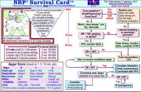 neonatal resuscitation program medical reference cards nrp