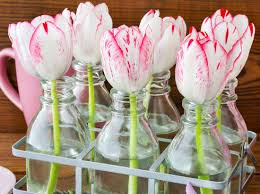 Dekoration frühling on pinterest | bulbs, painted bottles and. Tischdeko Fur Den Fruhling 5 Tolle Bastelideen Liebenswert Magazin