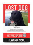 Image result for lost dog signs